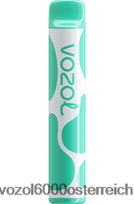 VOZOL Vape Geschmäcker - VOZOL JOYGO 600 Menthol FN2R387 VOZOL Vape Geschmäcker - VOZOL JOYGO 600 Menthol FN2R387